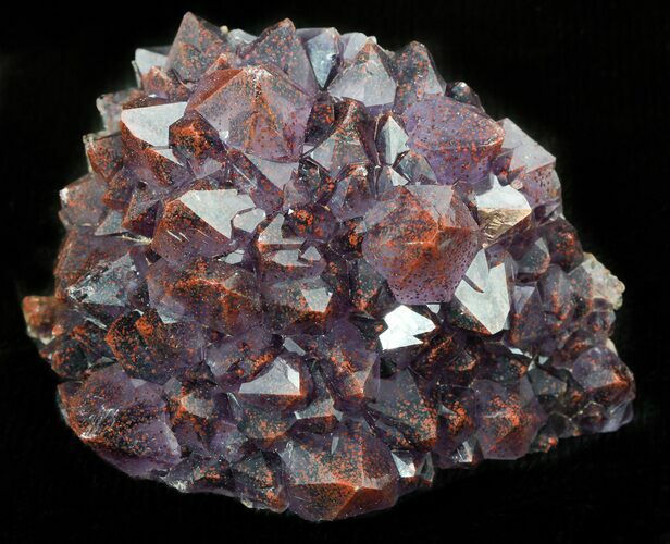 Thunder Bay Amethyst Cluster With Hematite #46293